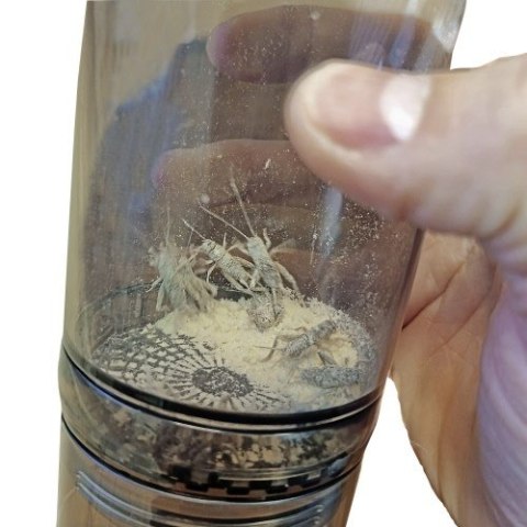 Pojemnik do obsypywania karmówki witaminami Cricket Vitamizer HOBBY