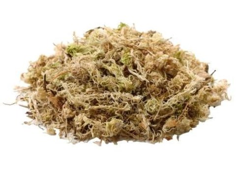 Sphagnum Moss mech 1000g HOBBY