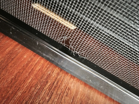 TERRARIUM 60x60x120cm + KUWETA CZARNE AKRYL+SIATKA SCREEN REPTI GOOD PRZECENA