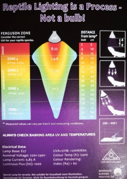 Żarówka 3w1 UV 70W FLOOD COATED MEGA RAY
