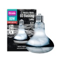 Żarówka D3 Basking 80W ARCADIA – nowe opakowanie