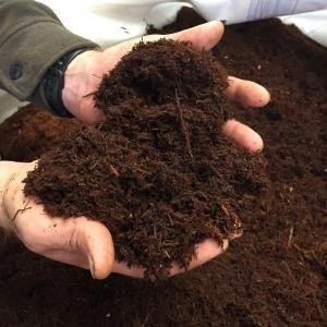 Xaxim podłoże dla mchów, roślin 5L