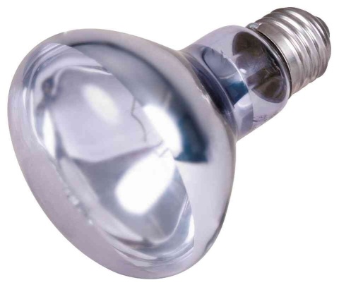 Grzewcza żarówka neodymowa 100W TRIXIE – żarówka