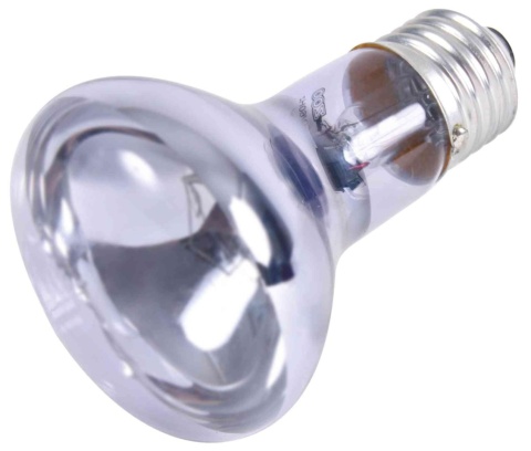 Grzewcza żarówka neodymowa 75W TRIXIE – żarówka