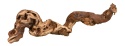 Korzenie winorośla M 30-40cm TRIXIE – korzeń