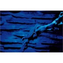 Night Sky nocne LED LUCKY REPTILE – efekt świecenia