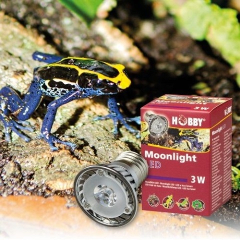 Nocna żarówka LED 3W HOBBY – żarówka w terrarium