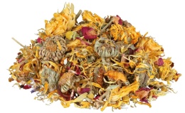 Pokarm dla gadów mix kwiatów dla żółwi, agamy, legwana 75g TRIXIE – mieszanka kwiatów