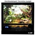 Terrarium Fix &amp; Easy 30x30x32cm HOBBY – przykładowa aranżacja