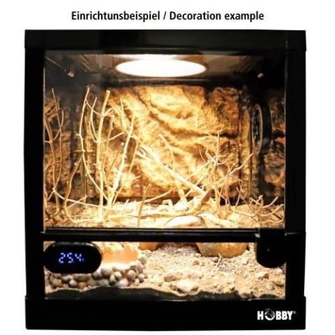 Terrarium Fix &amp; Easy 30x30x32cm HOBBY – przykładowa aranżacja