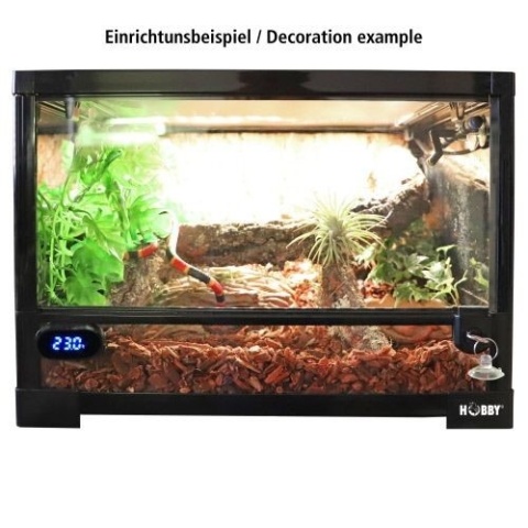 Terrarium Fix &amp; Easy 45x45x32cm HOBBY – przykładowa aranżacja