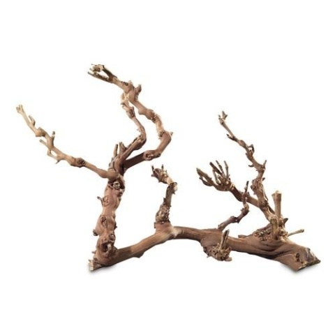 Winorośl naturalna sucha twarda do 50-70cm HOBBY – winorośl