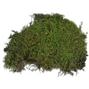 Żywy mech Vivarium Moss 150g LUCKY REPTILE – mech