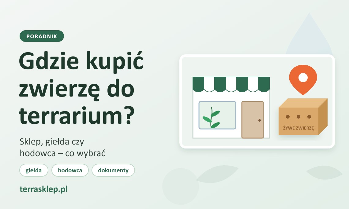 Gdzie kupić zwierzę do terrarium?