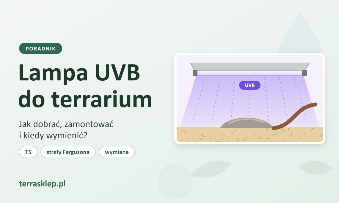 Lampa UVB do terrarium – jak dobrać, zamontować i kiedy wymienić?