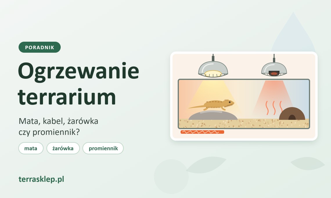 Ogrzewanie terrarium – mata, kabel, żarówka czy promiennik?