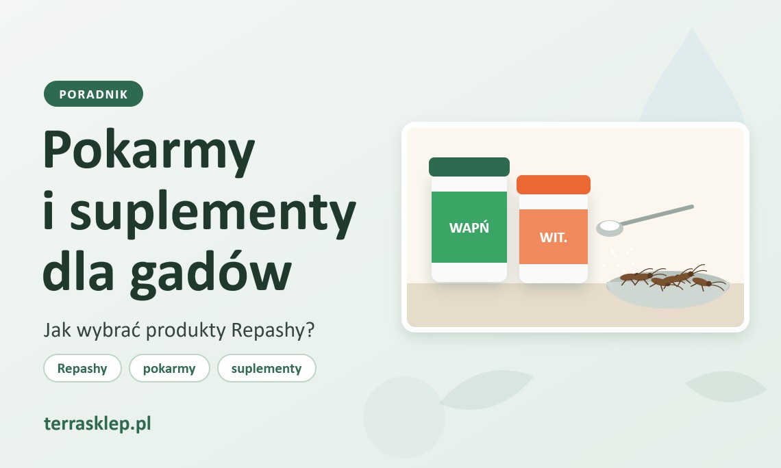 Pokarmy i suplementy dla gadów - jak wybrać?