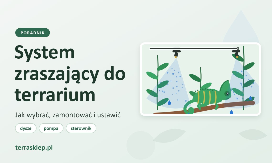 System zraszający do terrarium – jak wybrać, zamontować i ustawić?