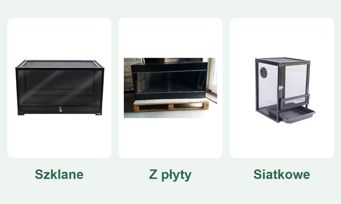 Terrarium szklane, z płyty czy siatkowe? Porównanie i wybór