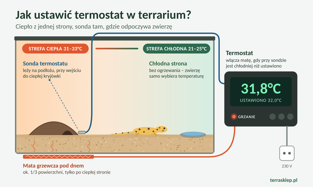 Schemat terrarium z matą grzewczą pod dnem, sondą termostatu przy ciepłej kryjówce i termostatem utrzymującym 32°C