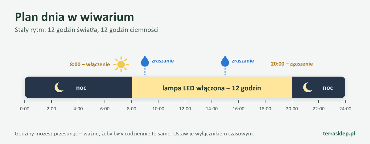 Plan dnia w wiwarium: lampa LED włączona od 8:00 do 20:00, zraszanie o 9:00 i o 15:00, w nocy ciemność