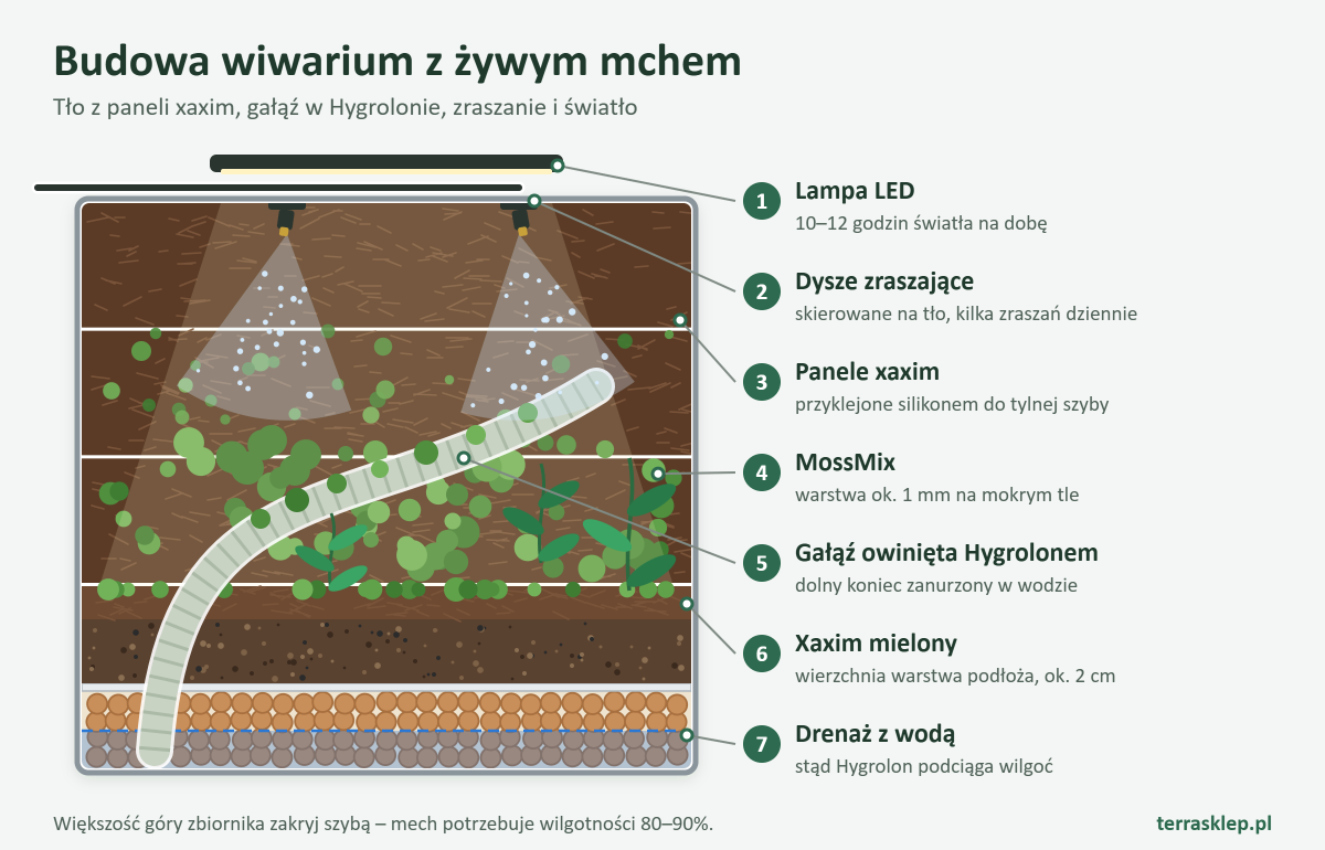 Przekrój wiwarium z żywym mchem: tło z paneli xaxim, gałąź owinięta Hygrolonem z końcem zanurzonym w wodzie, podłoże z xaximu mielonego na drenażu, dysze zraszające i lampa LED nad zbiornikiem