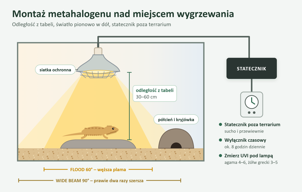 Schemat montażu metahalogenu nad miejscem wygrzewania: odległość lampy, średnica plamy światła dla kąta 60° i 90°, statecznik poza terrarium