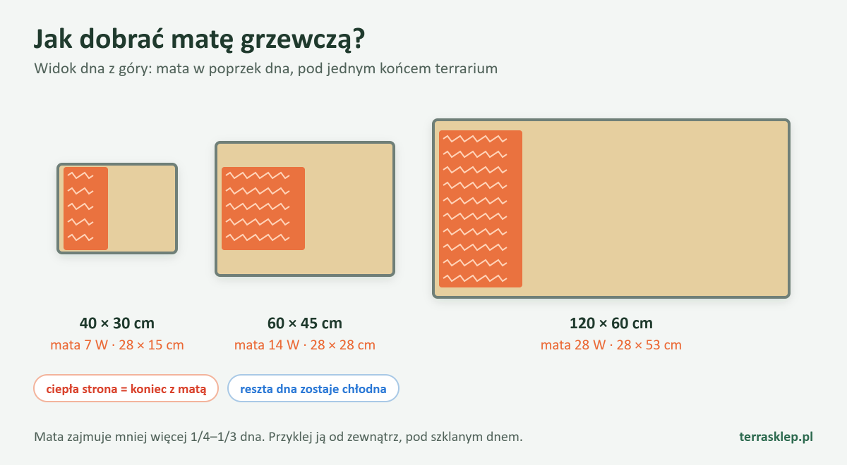 Jak dobrać matę grzewczą do wymiarów dna terrarium: mata w poprzek dna pod jednym końcem, przykłady dla terrarium 40 × 30, 60 × 45 i 120 × 60 cm