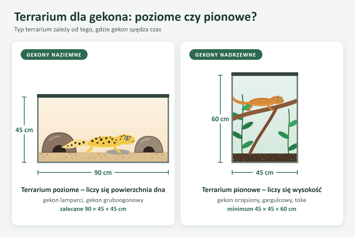 Porównanie: terrarium poziome dla gekona naziemnego i terrarium pionowe dla gekona nadrzewnego
