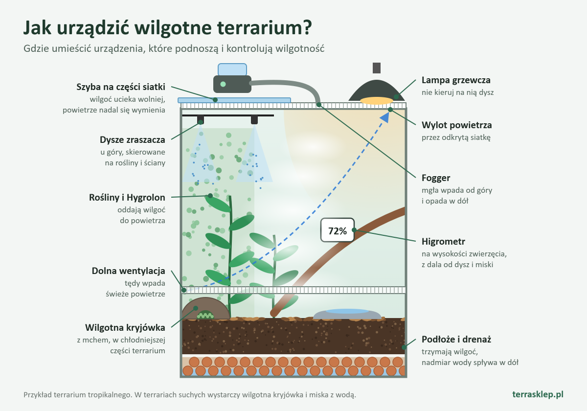 Schemat terrarium tropikalnego: gdzie umieścić dysze zraszacza, fogger, higrometr i wilgotną kryjówkę
